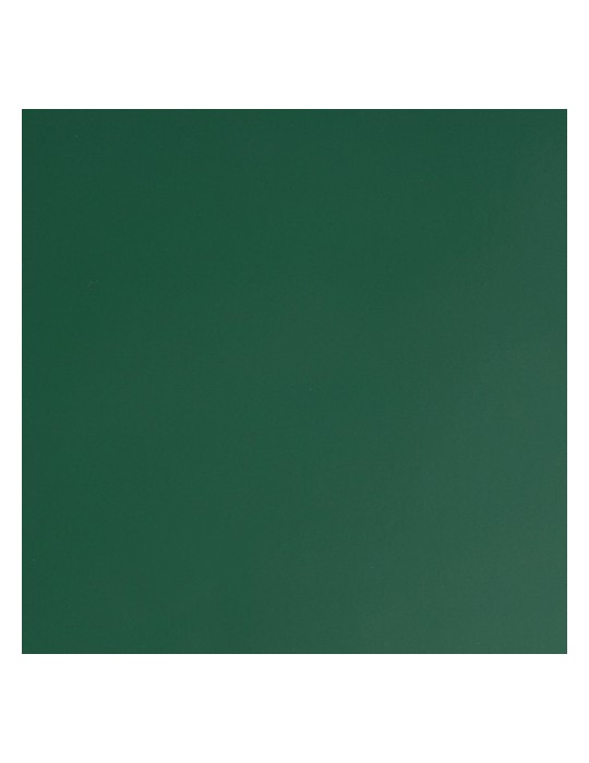 E3357B - Vert Bouteille Brillant